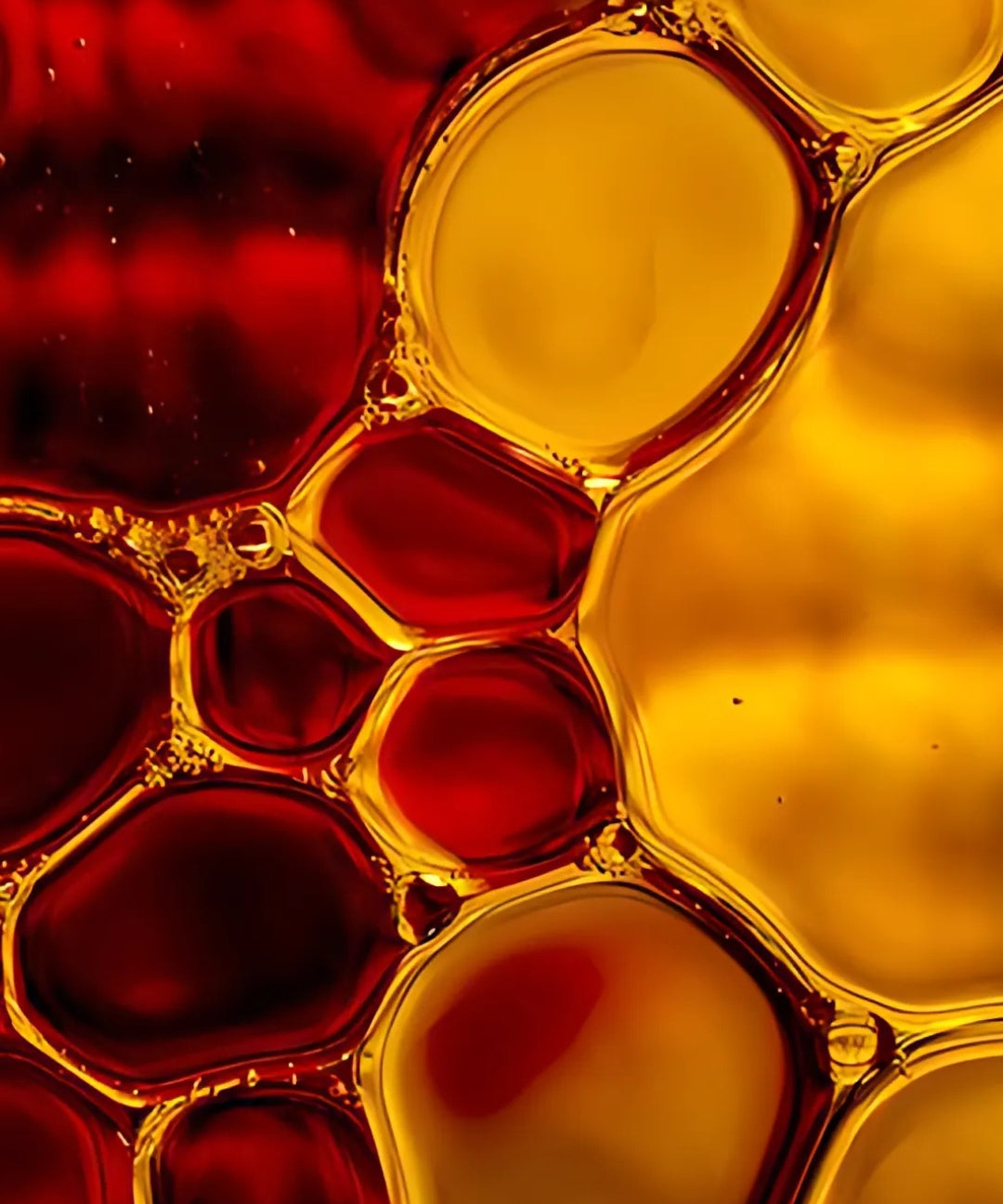 A clear glass filled with oil and water, showcasing colorful red and yellow bubbles suspended in the mixture.