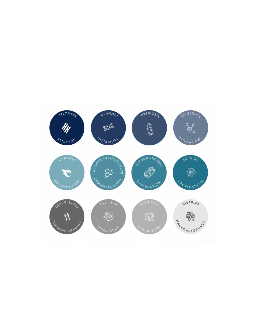 Some symbols about biology on a white background