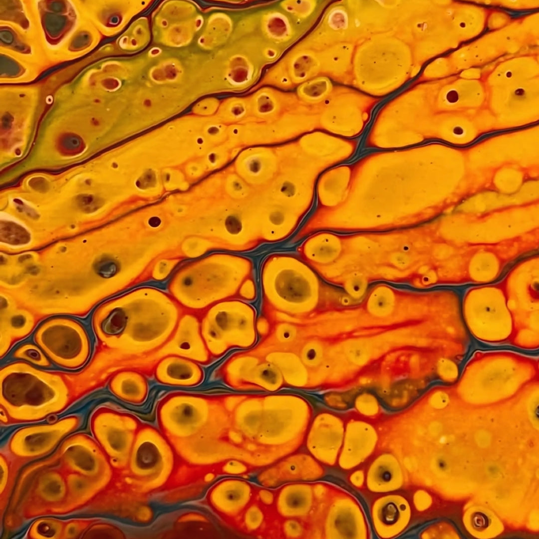Energetic oils showcasing bold colours and layered textures, inviting interpretation and reflection.