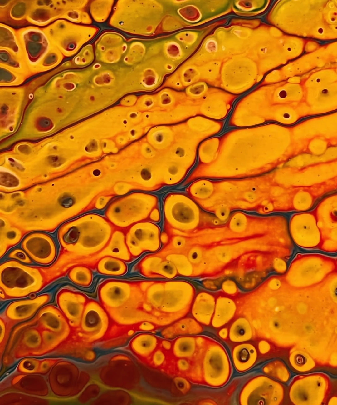 Energetic oils showcasing bold colours and layered textures, inviting interpretation and reflection.