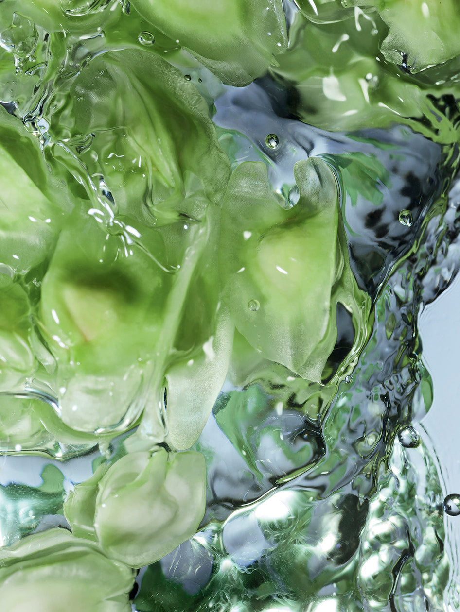 Green gelatinous substance with water droplets